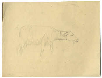 Visualizza l'immagine "FD D 131"